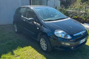 fiat punto evo