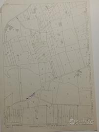 Appezzamento terreno vigneto