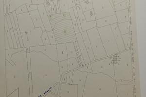 Appezzamento terreno vigneto