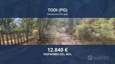 Immobile in asta di 16930 m² a Todi