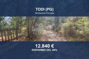 Immobile in asta di 16930 m² a Todi
