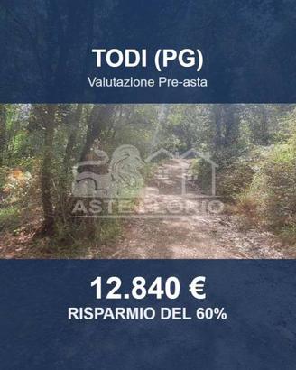 Immobile in asta di 16930 m² a Todi