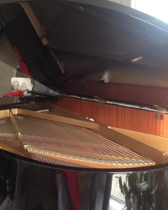 Pianoforte a coda Schimmel 208T