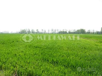 Seminativo a Roveredo in Piano