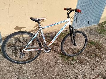 bicicletta