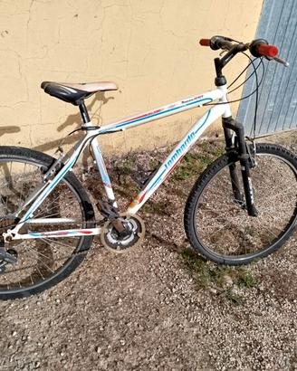 bicicletta
