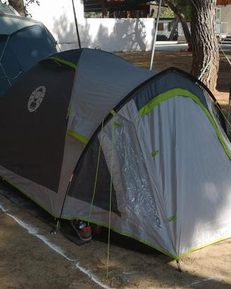 Coleman Darwin 3+