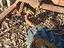 Immagine 3