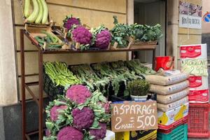 Attività di ortofrutta con attrezzature