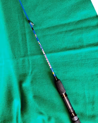 Canna da pesca da barca Lineaeffe SEABOAT 801  