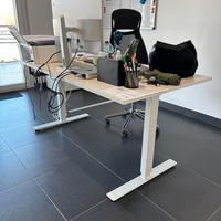 Scrivania regolabile in altezza (IKEA, 160x80)