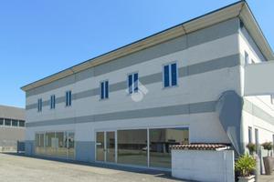 CAPANNONE A MONTIRONE