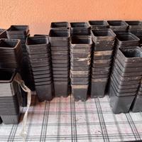 Vasi coltivazione / possibilita anche separati