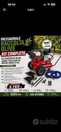 PRESTAGIONALE RACCOLTA OLIVE