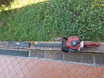 tagliasieep a scoppio einhell