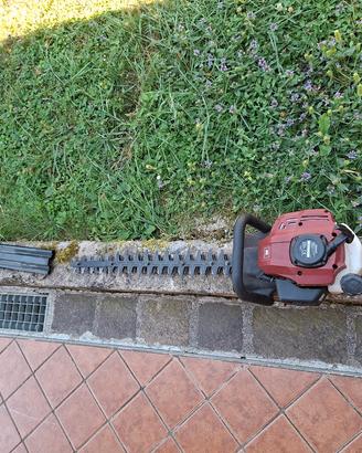 tagliasieep a scoppio einhell