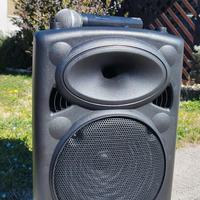 Cassa bluetooth con microfono wireless 