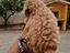 Immagine 5