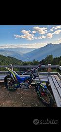 sherco trial st 300 2025 replica raga 