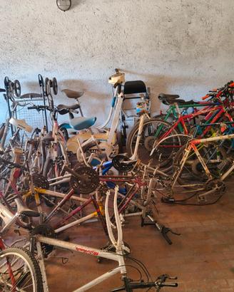 lotto bici