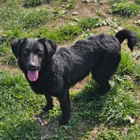 Elio, 2 anni e 15 kg di infinite dolcezza e bontà