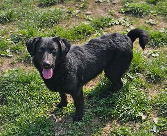 Elio, 2 anni e 15 kg di infinite dolcezza e bontà