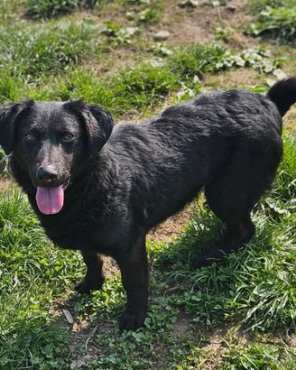 Elio, 2 anni e 15 kg di infinite dolcezza e bontà