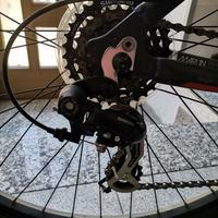 Mtb 29