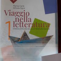 Viaggio nella letteratura vol.1