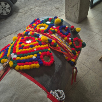 Armice per poni per le feste Siciliane