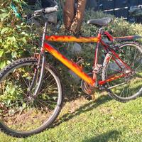 La più Coveniente Mountain Bike 26" Personaliz.