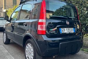 Fiat Panda 4x4 Benzina Euro 5B - 2012