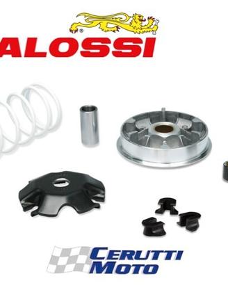 Variatore multivar 2000 Malossi honda lead ie 4t 1