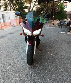 FZS 600