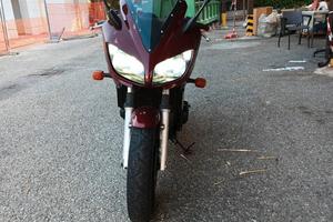FZS 600