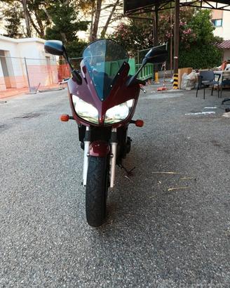 FZS 600