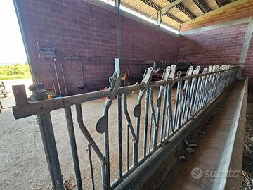 Autocatture e recinti per capre