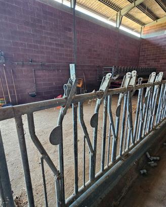 Autocatture e recinti per capre