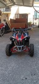 Mini quad 50 cc
