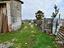 Immagine 10