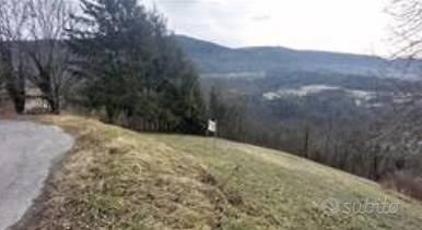 Immobile in asta di 11529 m² a Stenico