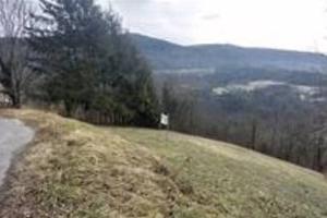 Immobile in asta di 11529 m² a Stenico
