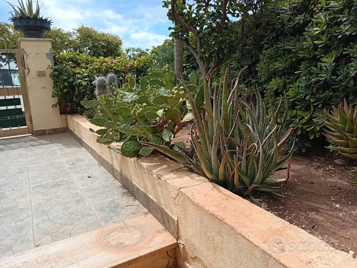 Appartamento – Ragusa, Marina di Ragusa - Vista 3