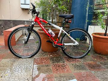 Bici Mountain Bike con Sospensioni, Ruote Alte