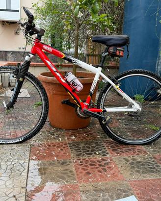 Bici Mountain Bike con Sospensioni, Ruote Alte