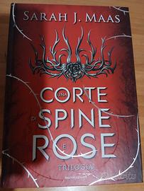 una corte di spine e rose (ACOTAR) 