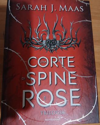una corte di spine e rose (ACOTAR) 