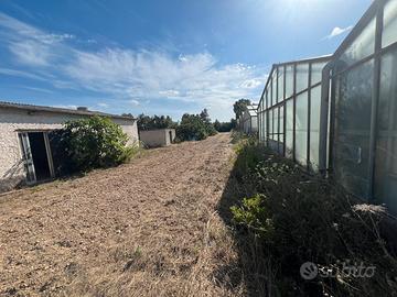 Podere ampio terreno con serre e costruzioni