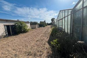 Podere ampio terreno con serre e costruzioni