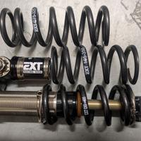 EXT Storia Lok V3 230x60 + 2 molle + revisione